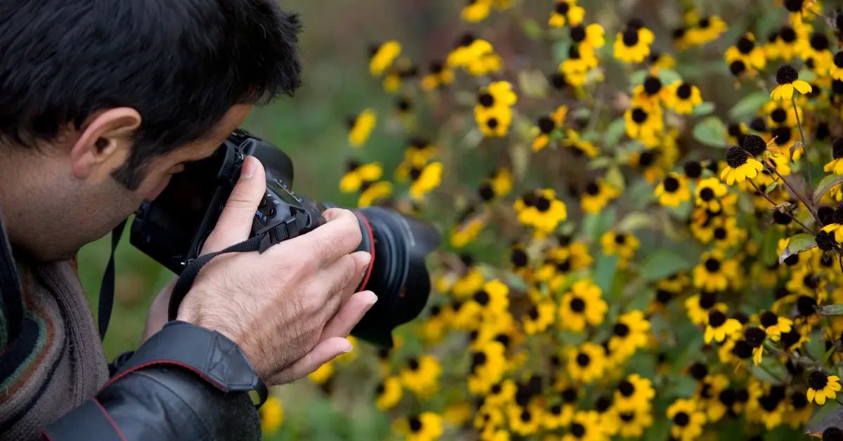 The Rule of Odds in Photography: Improve Your Visual Impact